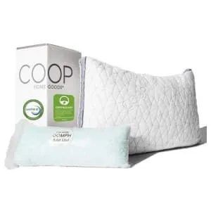 Coop Home Goods Pillows